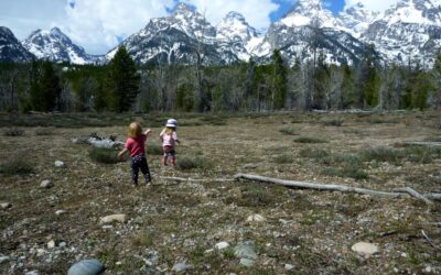 The Crucible of Conservation?